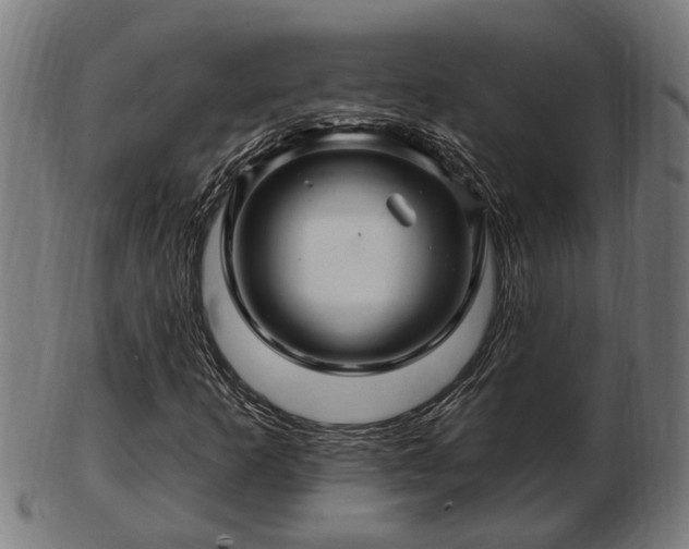 X0000103321253200809121139