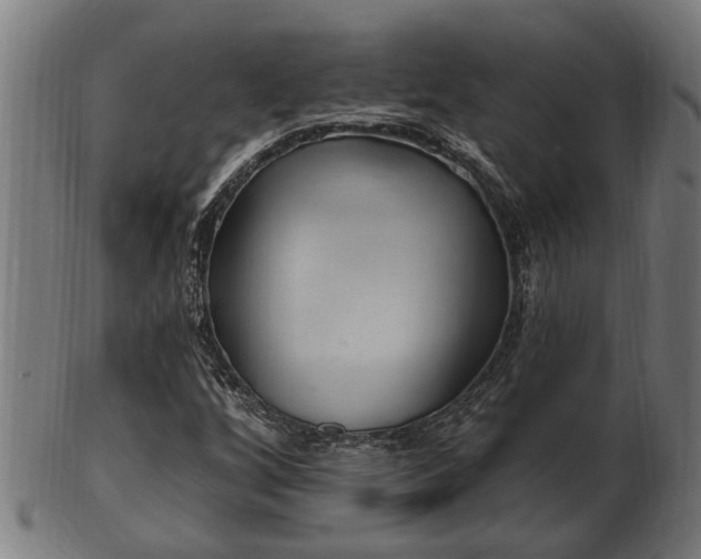 X0000103321256200809121139