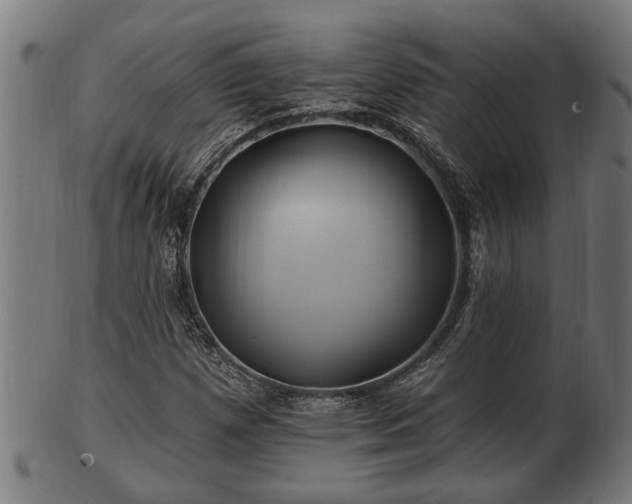 X0000103321257200809121139