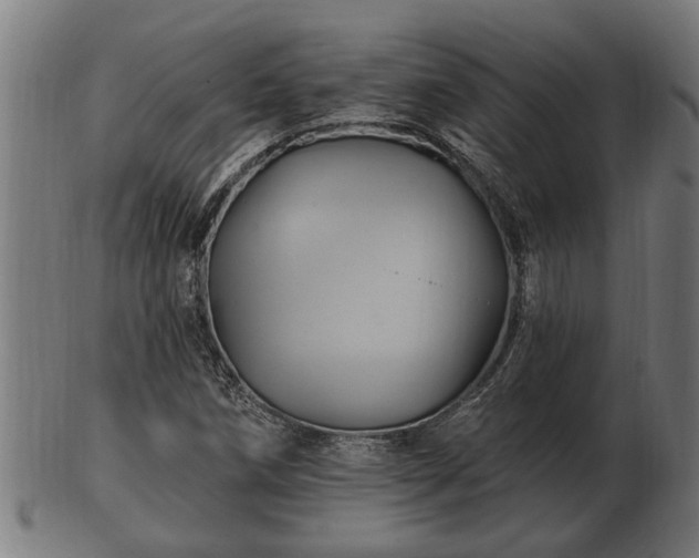 X0000103321258200809121139