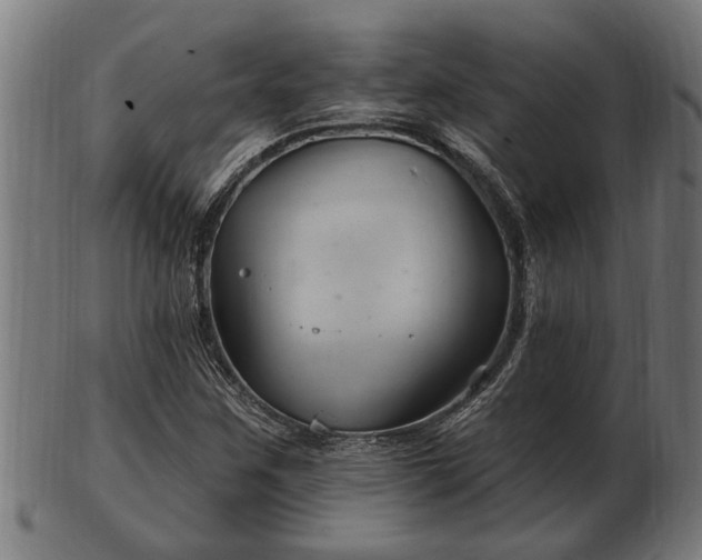 X0000103321259200809121139