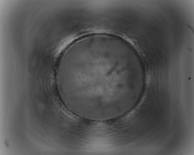 X0000103321263200809121139