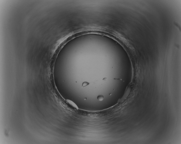 X0000103321264200809121139