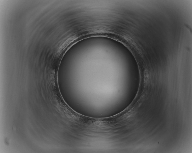 X0000103321265200809121139