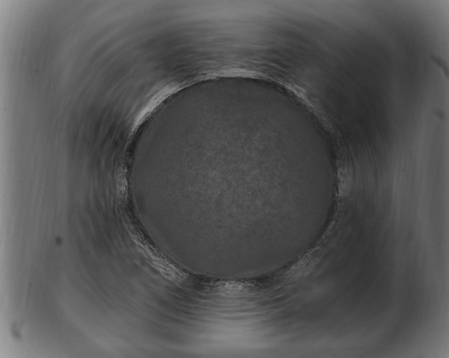 X0000103321266200809121139