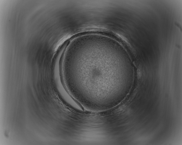 X0000103321267200809121139