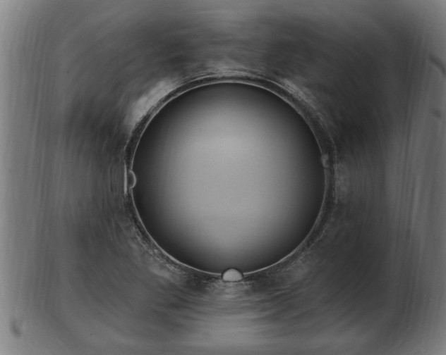 X0000103321269200809121139