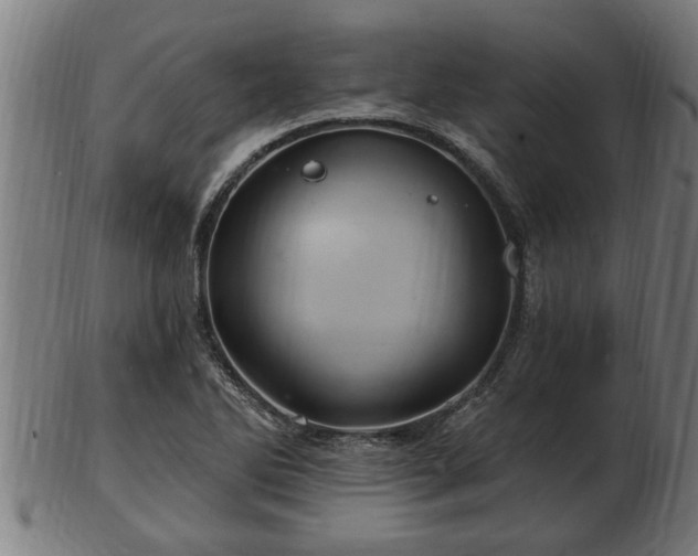 X0000103321270200809121139