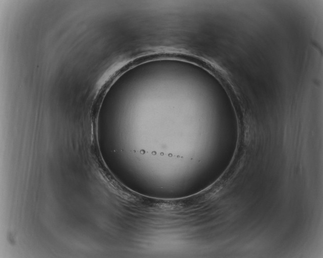 X0000103321271200809121139