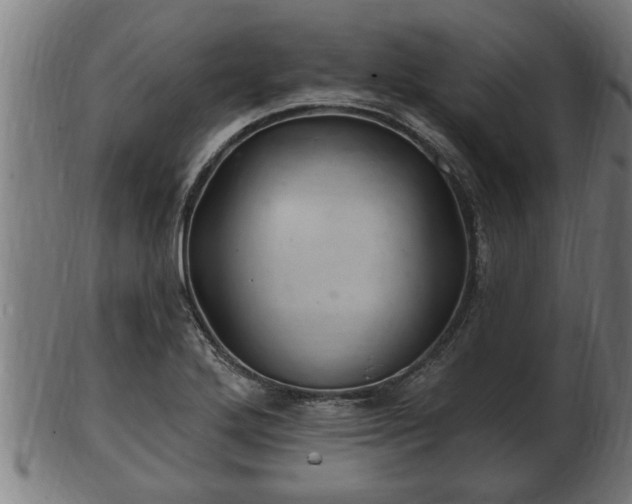 X0000103321272200809121139