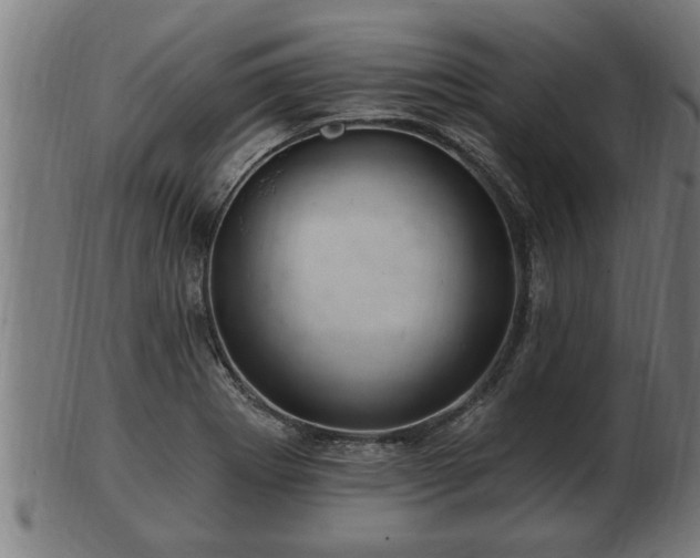 X0000103321273200809121139