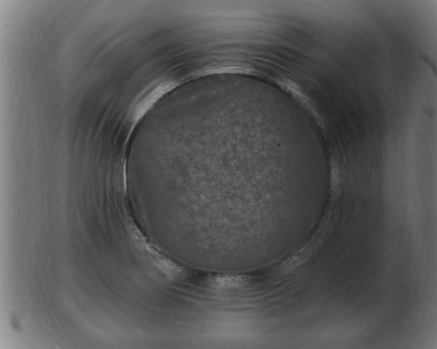 X0000103321274200809121139