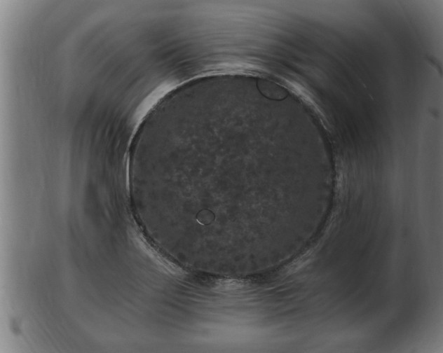 X0000103321275200809121139