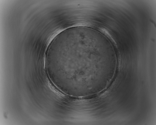 X0000103321276200809121139