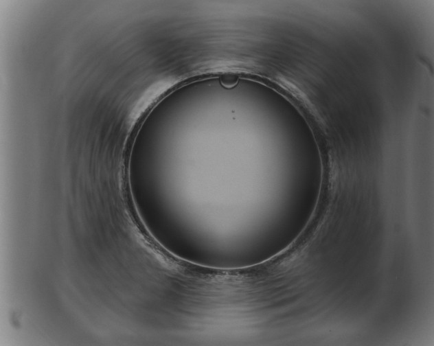 X0000103321277200809121139