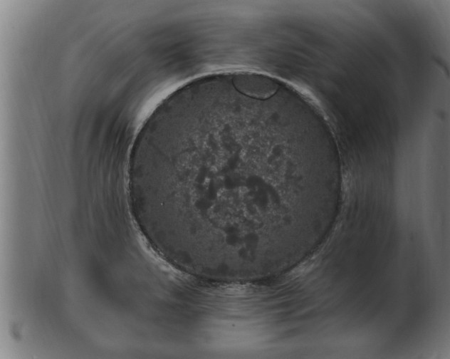 X0000103321279200809121139