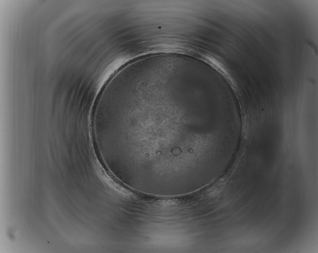 X0000103321283200809121139