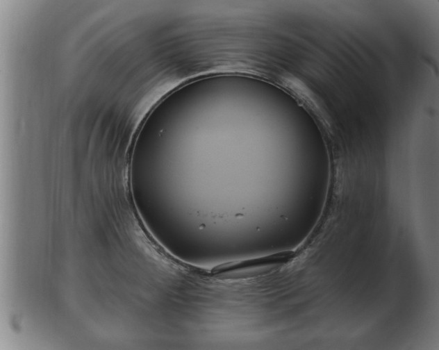 X0000103321284200809121139