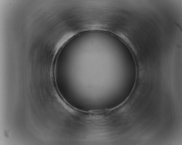 X0000103321285200809121139