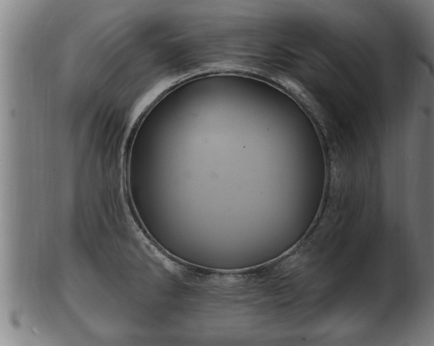 X0000103321286200809121139