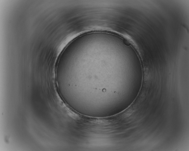 X0000103321287200809121139