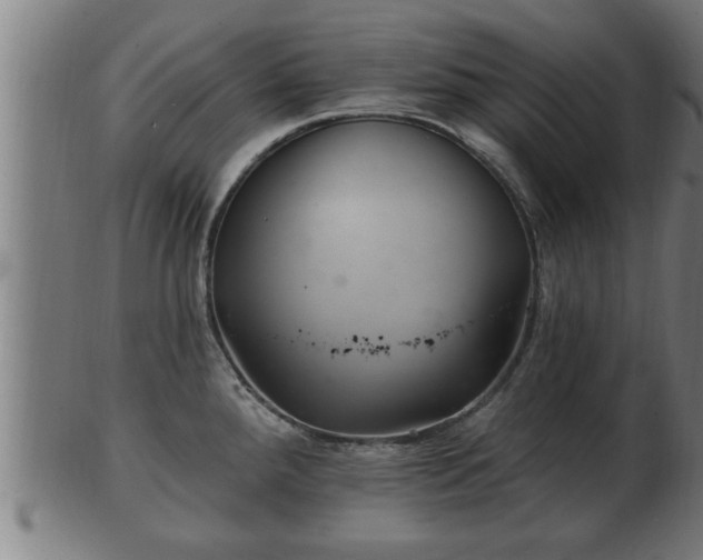 X0000103321288200809121139