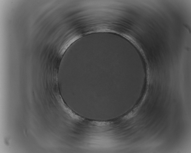 X0000103321289200809121139