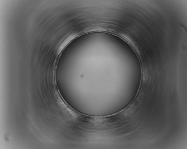 X0000103321290200809121139