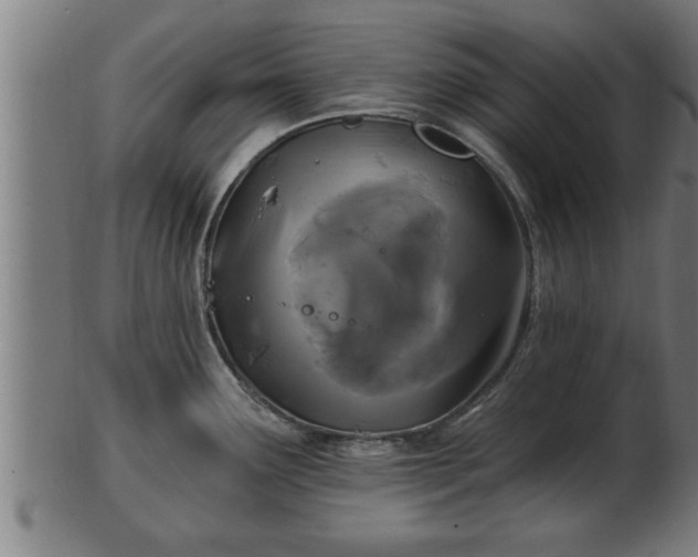 X0000103321291200809121139