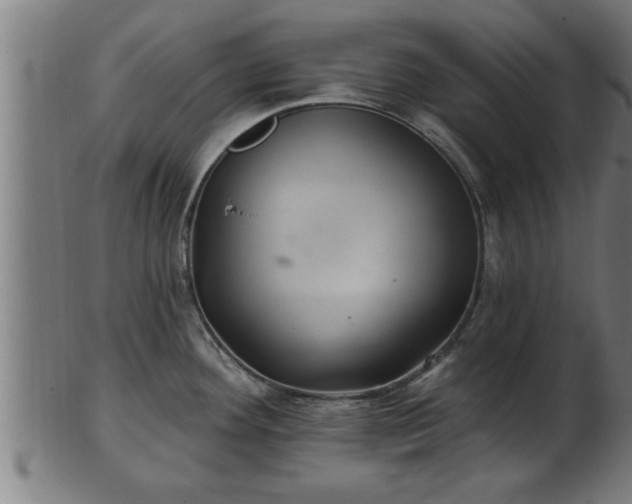 X0000103321292200809121139