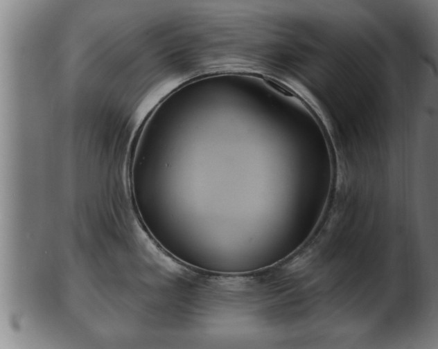 X0000103321293200809121139