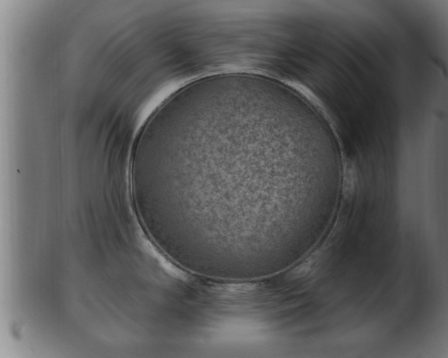 X0000103321294200809121139