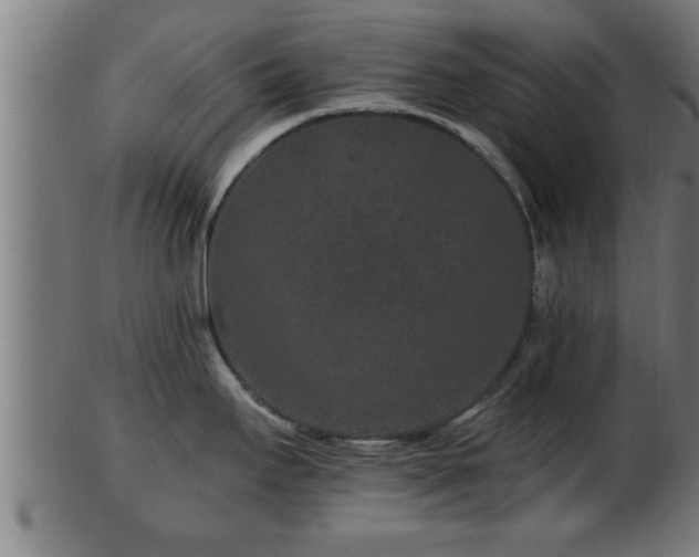 X0000103321295200809121139