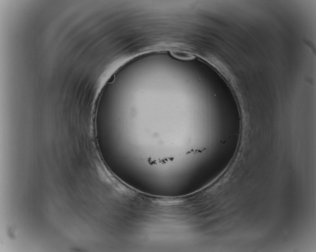 X0000103321296200809121139