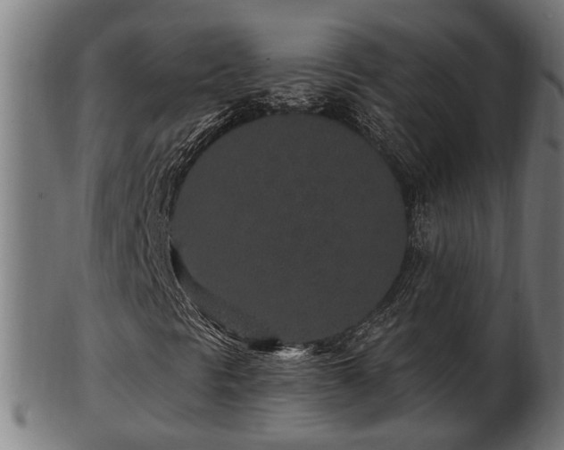 X0000103321297200809121138