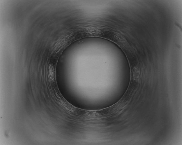 X0000103321298200809121138