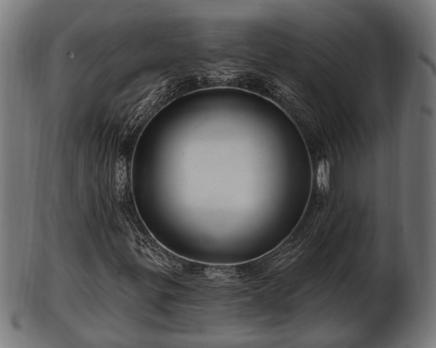 X0000103321299200809121138