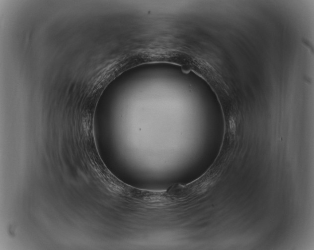 X0000103321300200809121138