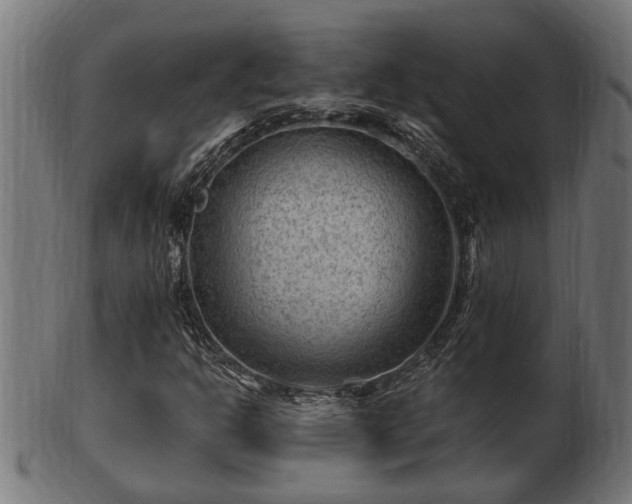 X0000103321302200809121138