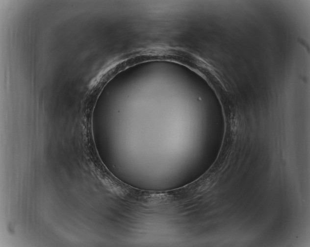 X0000103321304200809121138