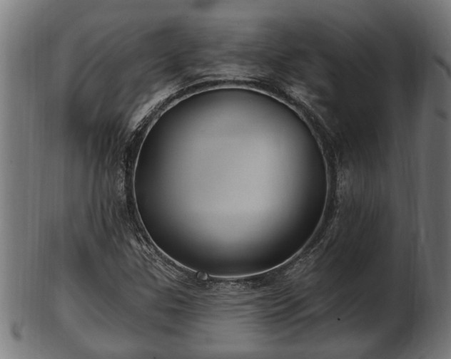 X0000103321307200809121138