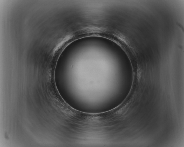 X0000103321309200809121138