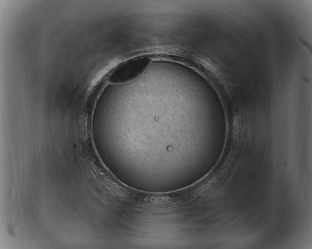 X0000103321310200809121138