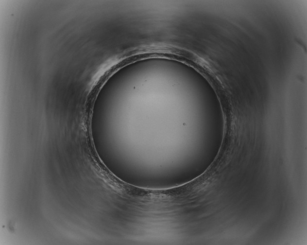 X0000103321312200809121138