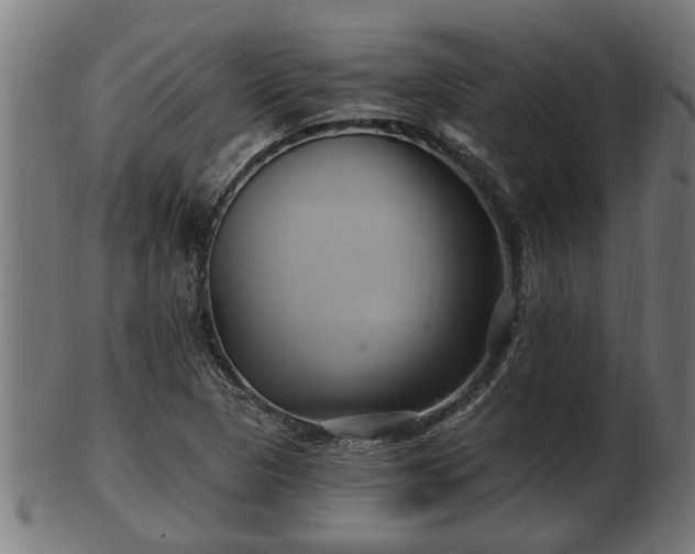 X0000103321313200809121138