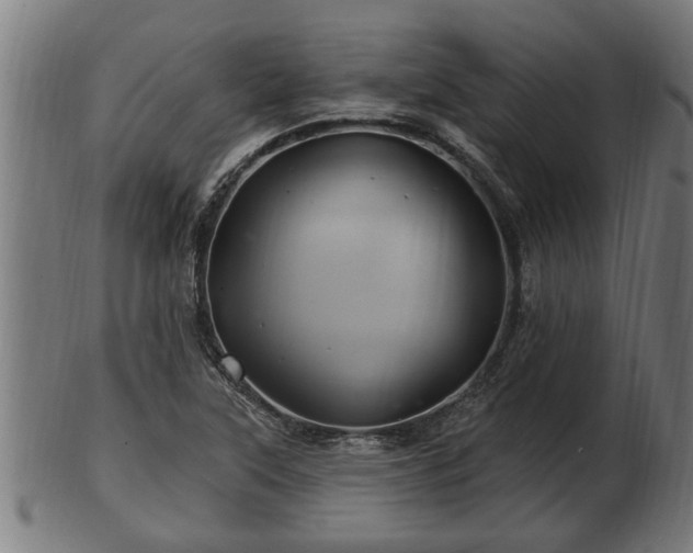 X0000103321315200809121138