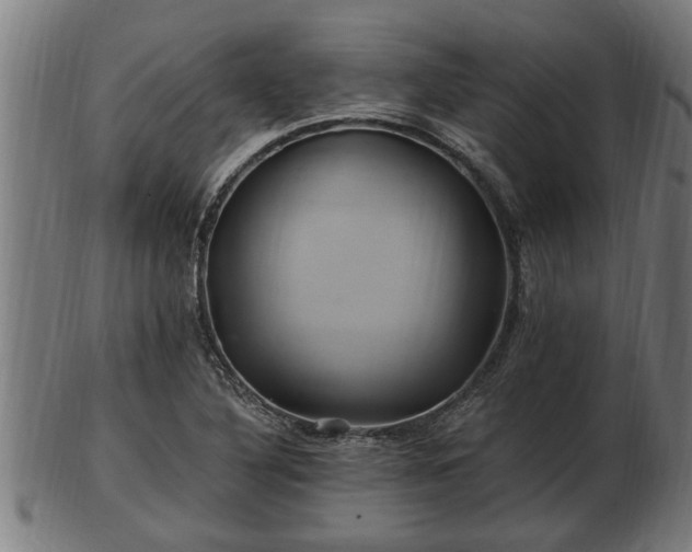 X0000103321316200809121138