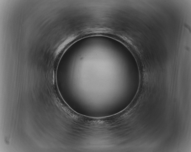 X0000103321317200809121138