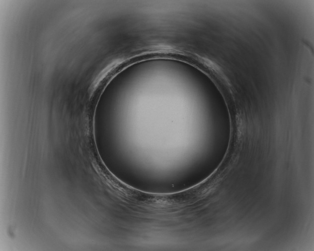 X0000103321318200809121138