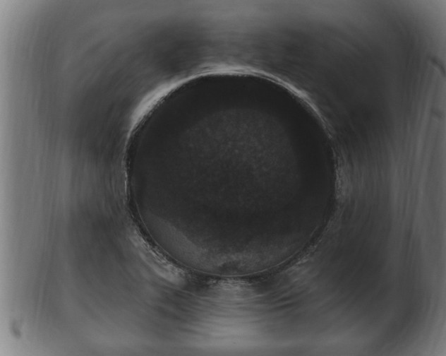 X0000103321319200809121138